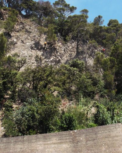 EMMEBI CONSOLIDAMENTI - Lavori forestali