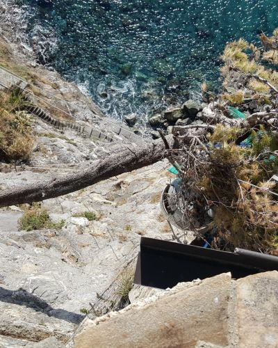 EMMEBI CONSOLIDAMENTI - Lavori forestali