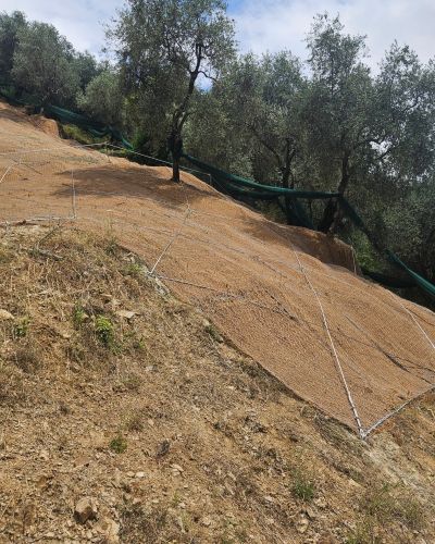 EMMEBI CONSOLIDAMENTI - Reti su scarpata