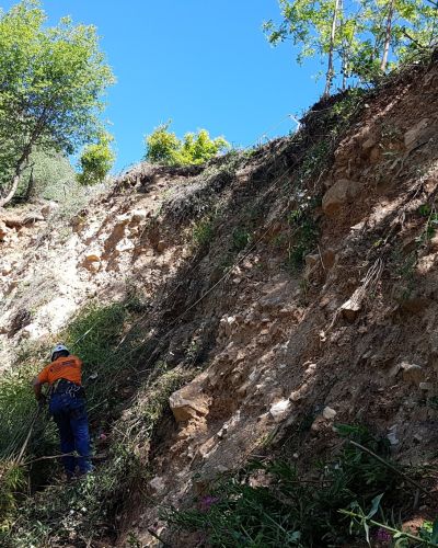 EMMEBI CONSOLIDAMENTI - Lavori forestali