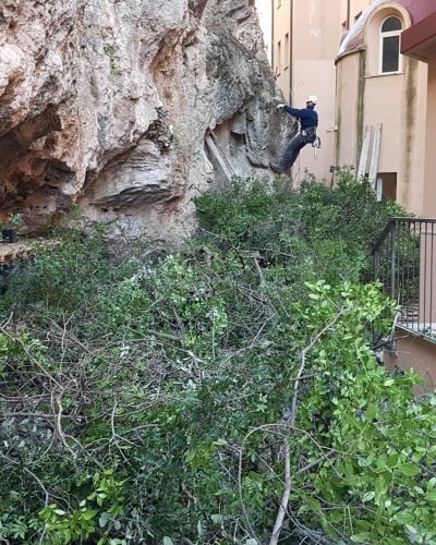 EMMEBI CONSOLIDAMENTI - Lavori forestali