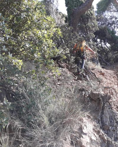 EMMEBI CONSOLIDAMENTI - Lavori forestali